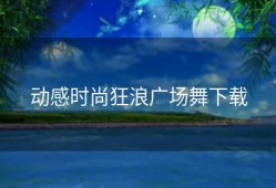 动感时尚狂浪广场舞下载