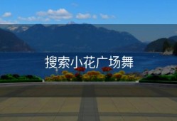 搜索小花广场舞