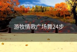 游牧情歌广场舞24步