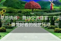 草原情缘：舞动交流盛宴，广场舞爱好者的视觉狂欢
