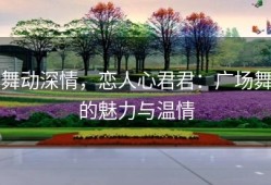 舞动深情，恋人心君君：广场舞的魅力与温情
