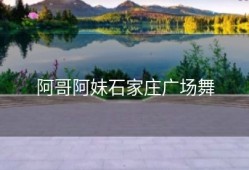 阿哥阿妹石家庄广场舞