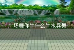 广场舞你牛什么牛水兵舞