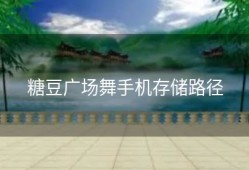 糖豆广场舞手机存储路径