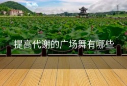 提高代谢的广场舞有哪些