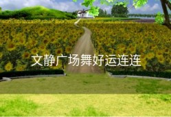 文静广场舞好运连连