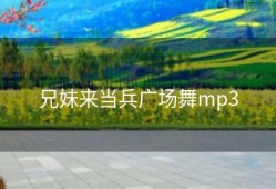 兄妹来当兵广场舞mp3