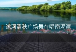 沭河清秋广场舞在唱南泥湾