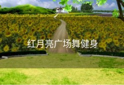 红月亮广场舞健身