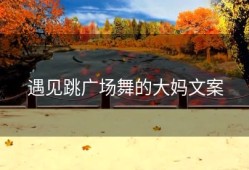 遇见跳广场舞的大妈文案