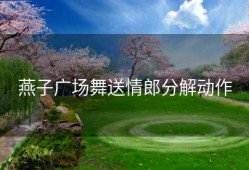 燕子广场舞送情郎分解动作