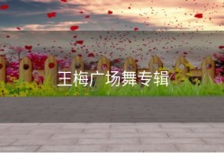 王梅广场舞专辑