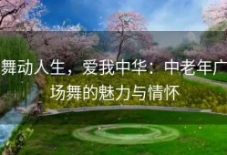 舞动人生，爱我中华：中老年广场舞的魅力与情怀