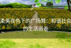 柔美夜色下的广场舞：和谐社会的生活画卷