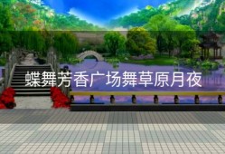 蝶舞芳香广场舞草原月夜