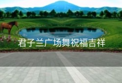 君子兰广场舞祝福吉祥