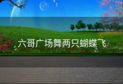 六哥广场舞两只蝴蝶飞