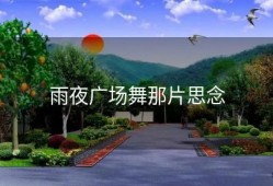 雨夜广场舞那片思念