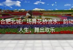合肥北城广场舞花桥流水：韵动人生，舞出欢乐