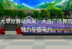 大草原舞动风采：大连广场舞的魅力与感染力