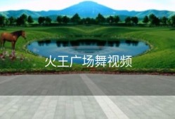 火王广场舞视频
