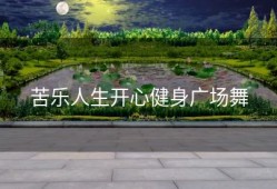 苦乐人生开心健身广场舞