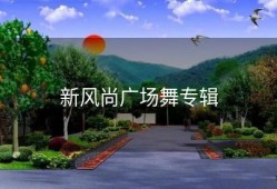 新风尚广场舞专辑