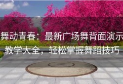 舞动青春：最新广场舞背面演示教学大全，轻松掌握舞蹈技巧