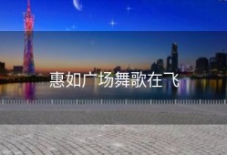 惠如广场舞歌在飞