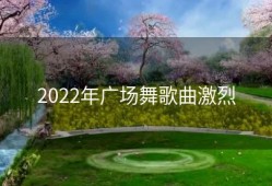 2022年广场舞歌曲激烈