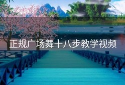 正规广场舞十八步教学视频