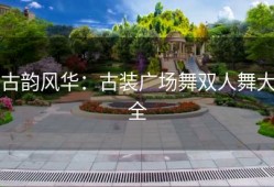 古韵风华：古装广场舞双人舞大全