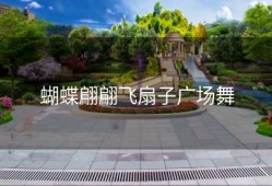 蝴蝶翩翩飞扇子广场舞