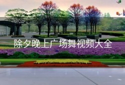 除夕晚上广场舞视频大全