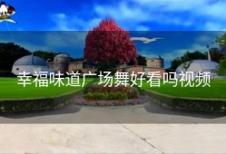 幸福味道广场舞好看吗视频