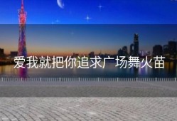 爱我就把你追求广场舞火苗