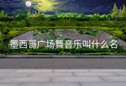 墨西哥广场舞音乐叫什么名