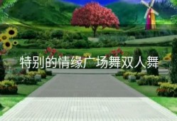 特别的情缘广场舞双人舞