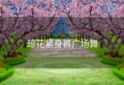 琼花紧身裤广场舞