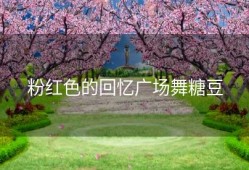 粉红色的回忆广场舞糖豆