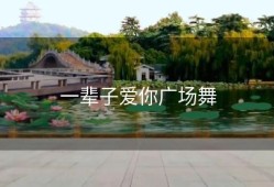 一辈子爱你广场舞