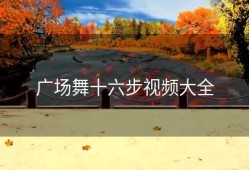 广场舞十六步视频大全