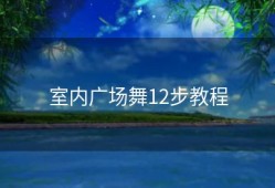 室内广场舞12步教程