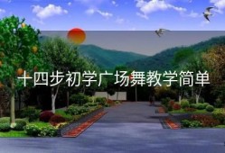 十四步初学广场舞教学简单
