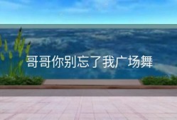 哥哥你别忘了我广场舞