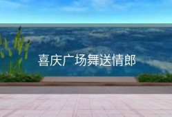 喜庆广场舞送情郎