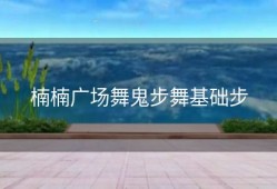 楠楠广场舞鬼步舞基础步