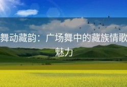 舞动藏韵：广场舞中的藏族情歌魅力