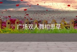 广场双人舞相思草