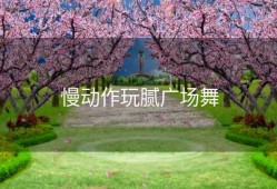 慢动作玩腻广场舞